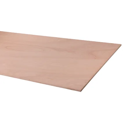 Multiplex 122 x 244