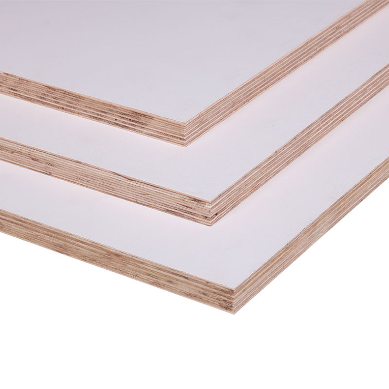 Gegrond watervast multiplex 122 x 250 afbeelding 1