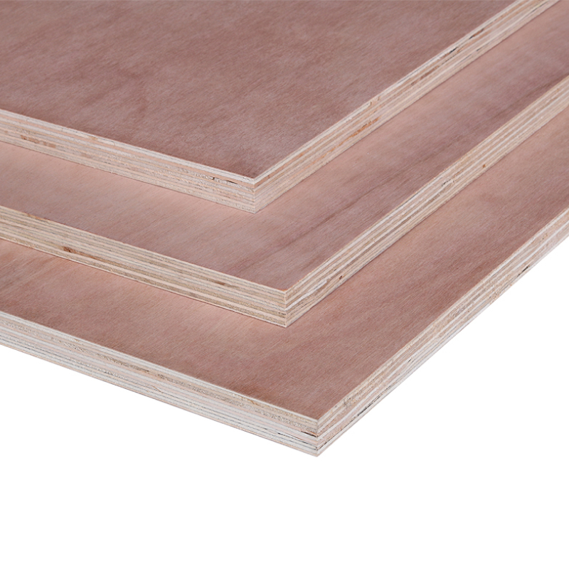 Multiplex 122 x 244