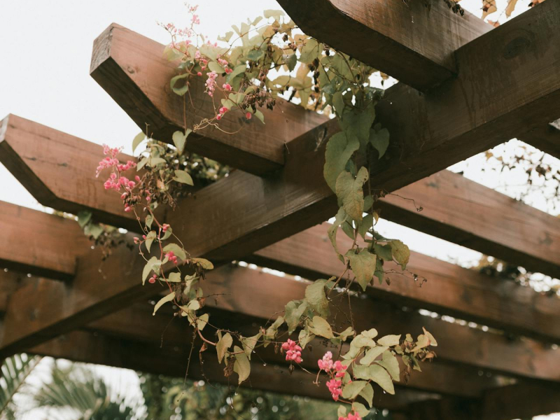 Pergola